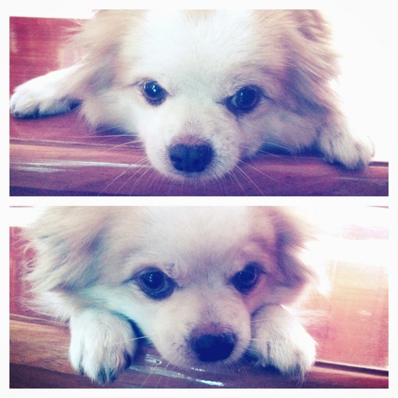 Melody Eighthsense - Picture 7 of 8